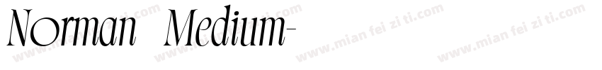 Norman   Medium字体转换